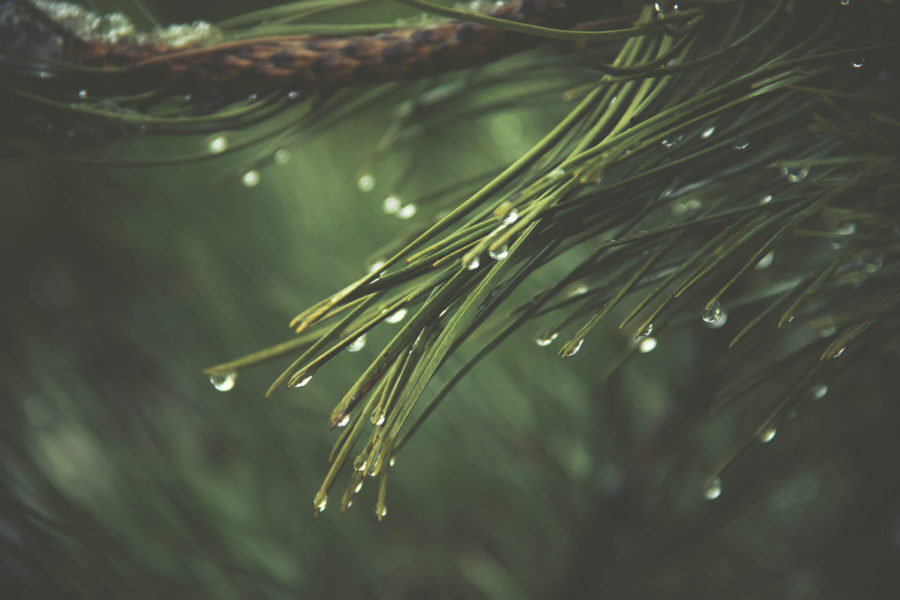 Holidays can cause serious anxiety: Here’s how to ease it!